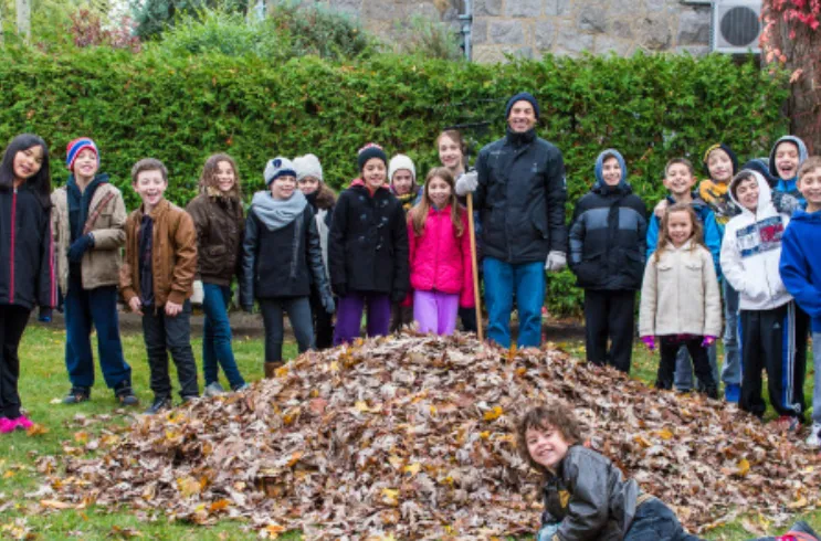 Fall Series: Ode to Pile