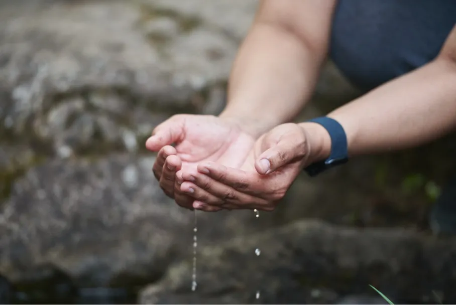 Nature Conservancy of Canada — conservation area